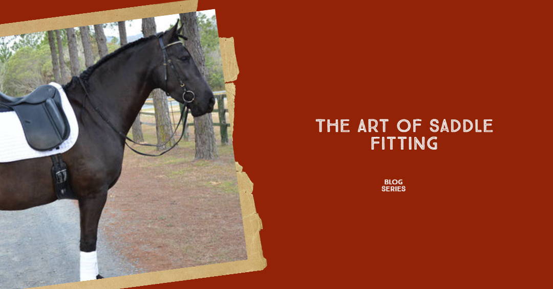 The Optimal Placement of the Saddle Achieving Balance and Comfort